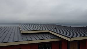 Best Rubber Roofing (EPDM, TPO)  in Beacon Hill, WA